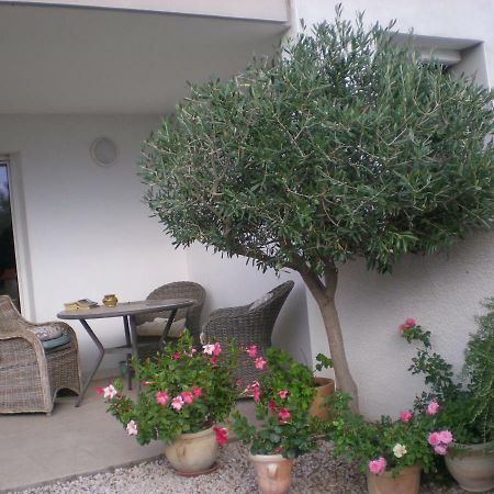 La Scribote Διαμέρισμα Marseillan  Εξωτερικό φωτογραφία